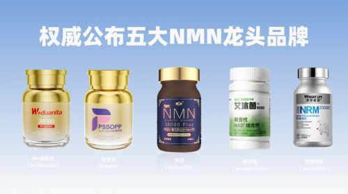 稿定智能设计202409120919(3)(1)(3)(1)(4).jpg