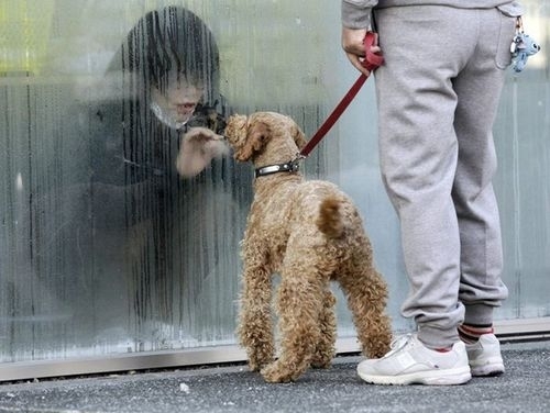2011年年度图片